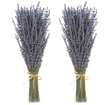Dried Lavender 2 Bunches 100 Fresh Natural Purple 2 Lavender, Mixed