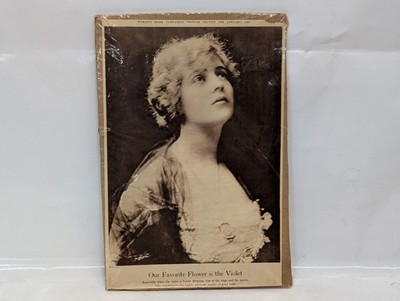Woman's Home Companion Jan 1921 Violet Heming print picture section page