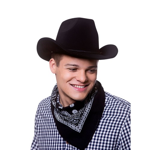 Cowboy Hats Fancy Dress Accessory Wild West Rodeo Texan Texas Adults Mens Ladies - Picture 6 of 23