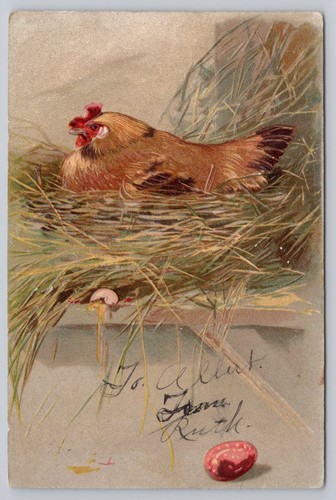 Ostern Postkarte Henne auf Nest rotes Ei gebrochenes Ei geprägt UDB um 1906 WOF