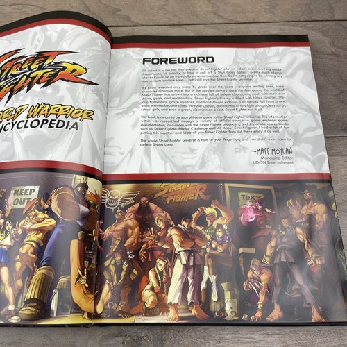 Udon Studios Art Books Street Fighter - World Warrior Encyclopedia - Picture 18 of 24