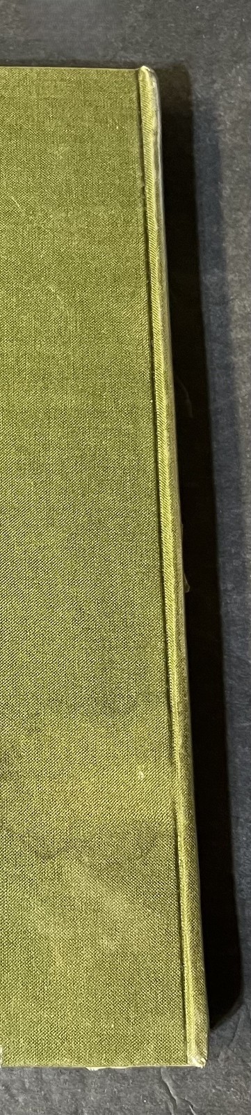 Picture 18 of 18