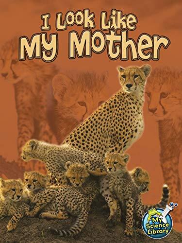 I Look Like My Mother: Exploring Genetics with Julie Lundgren