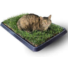 Kit S Gatto Cuccia gatto estiva in Vera Erba con Vassoio Riutilizzabile 60x40 cm