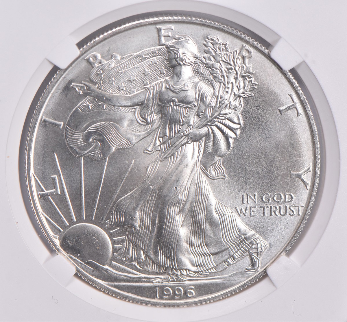 1996 American Silver Eagle $1 BU Brilliant Uncirculated NGC Brown