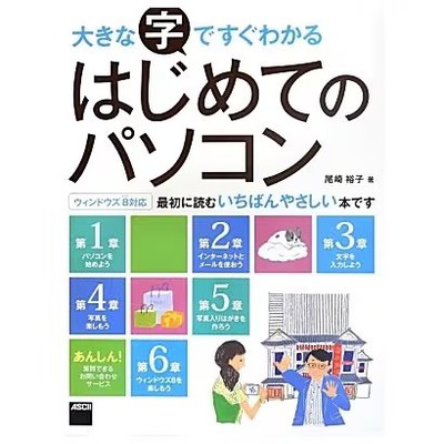Computer Book Large Print Windows 8 Beginner Guide Very Good For Ages 14+