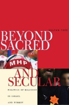 Sultan Tepe Beyond Sacred and Secular (Gebundene Ausgabe) (US IMPORT)