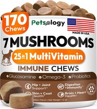 Turkey Tail Mushroom for Dogs - 170 Chews - 170 Chews, Multivitamin