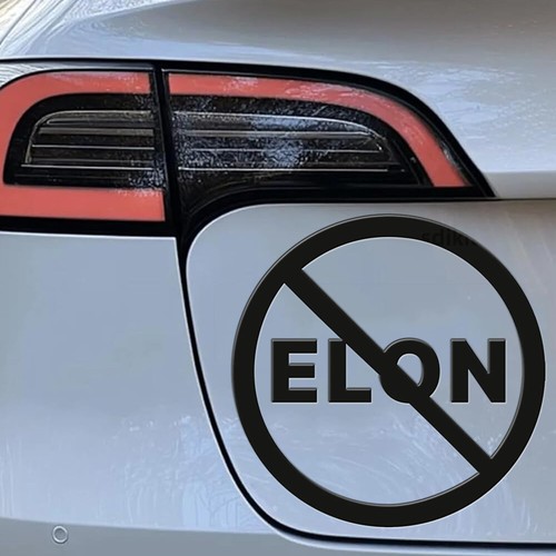 2x Calcomanías adhesivas de vinilo Lo compré antes de que Elon se volviera loco para Tesla Modelo 3 Y - Imagen 7 de 17