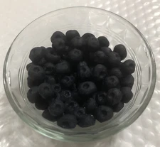 Life Form By Nasco Replica Food Nutrition Training Blueberries Stage Photo Prop
