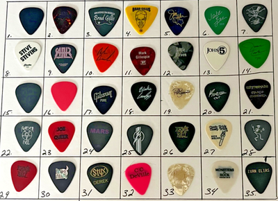 Bruce Springsteen LITTLE STEVEN 2009 Concert Tour Guitar Pick #12