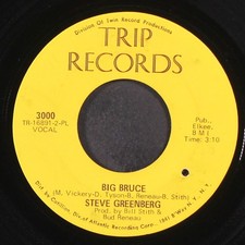 STEVE GREENBERG: big bruce TRIP 7" Single 45 RPM