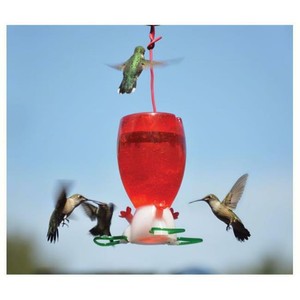 songbird essentials songbird essentials