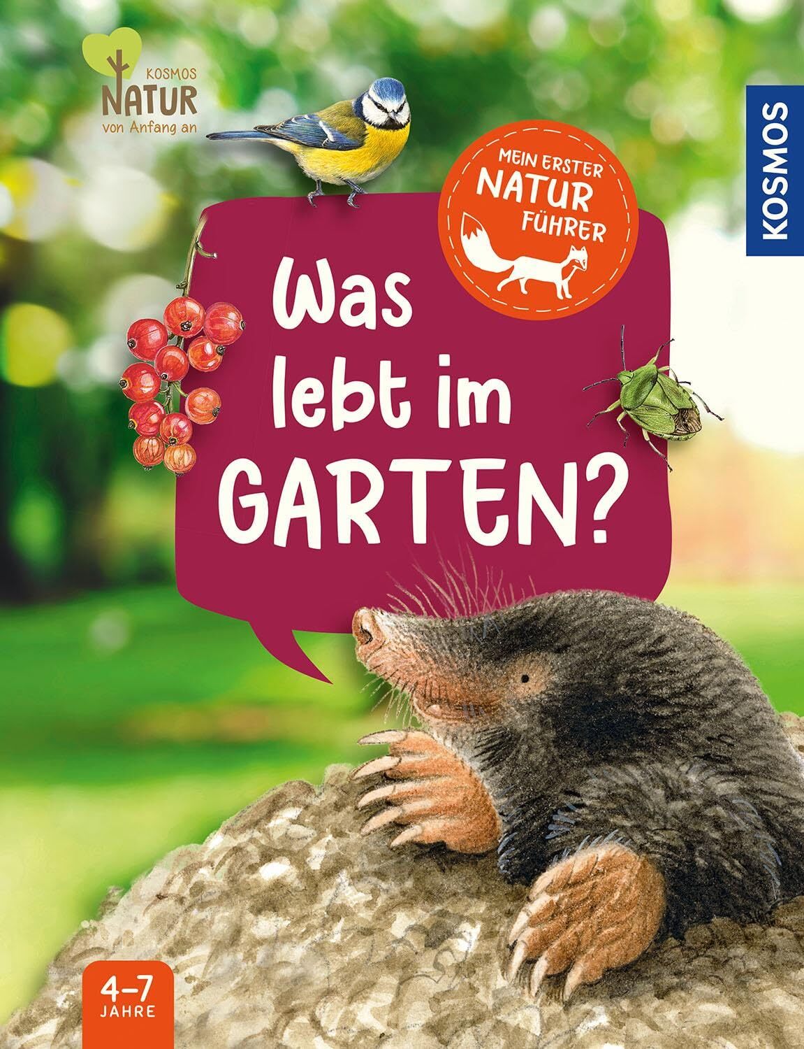 Julia Hiller Mein erster Naturführer Was lebt im Garten?: Die (Copertina rigida)