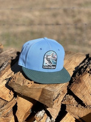 Corpus Christi Hooks Coastal Bend Logo Milb Rare Fitted 7 1/4
