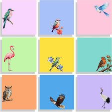 9 Pads Cute Sticky Notes Set, 3" X 3" Bird Self Stick Notepads, Funny Sticky Not