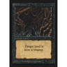 MTG \\>> Evil Presence (Collectors' Edition) <<// English - 341 Trading - Magic