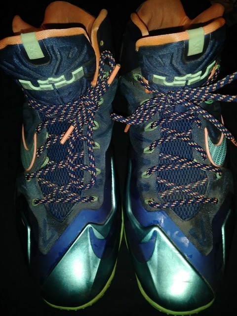 lebron james shoes size 15