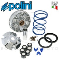 Variator Polini HI-SPEED Piaggio Liberty Rst 50 4T Baujahr 2004