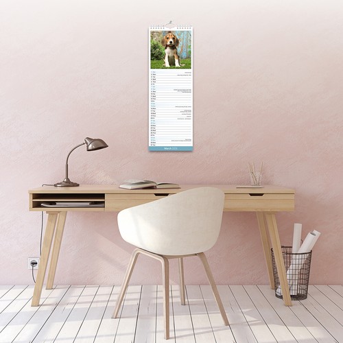 Beagle Slim 2026 Calendar | Slimline Dog Breed Gift 15% OFF MULTI ORDERS - Picture 5 of 8