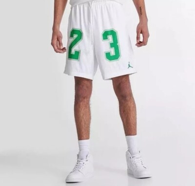 MEN'S NIKE JORDAN ESSENTIALS GRAPHIC MESH SHORTS DX9671-100 GREEN WHITE Size XL