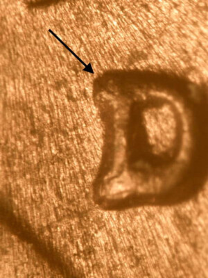 1955-D WRPM#19 D/D Tilted Lincoln Wheat Penny Cent~Nice  BU/Uncirculated R/B