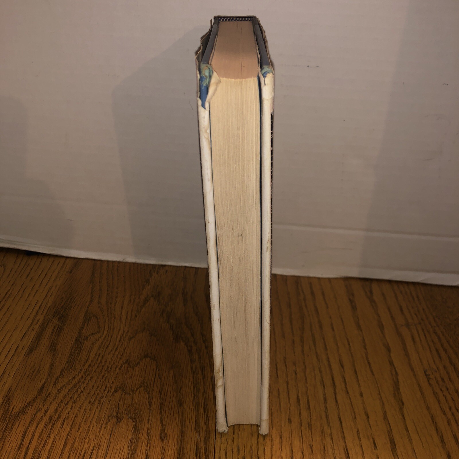 Picture 4 of 5