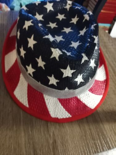 The Children's Place The Childrens Place Boys Fedora sz L  Patriotic age 10+ - Picture 1 of 4