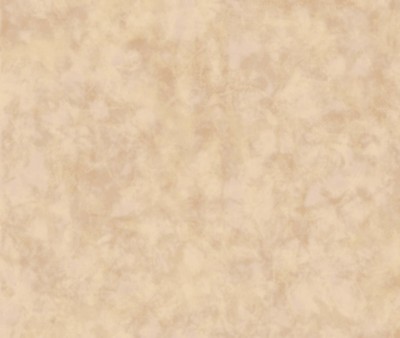 Stoff Flair gefärbt Effekt Kaffee Beize 32 Stück Baumwolle Evenweave (mehrere Größen