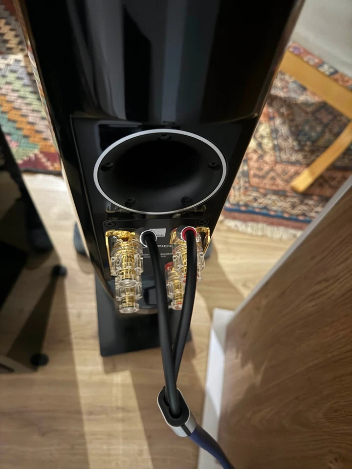 DALI EPICON 2 WALNUT COPPIA DI  DIFFUSORI ACUSTICI DA STAND DA ESPOSIZIONE - Immagine 2 di 4