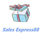 salesexpress88