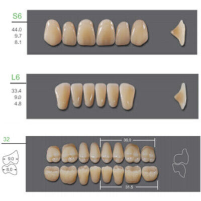 Huge Kaili Synthetic Polymer False Teeth Shade A3Full Set: 28 teeth/set 4 sets