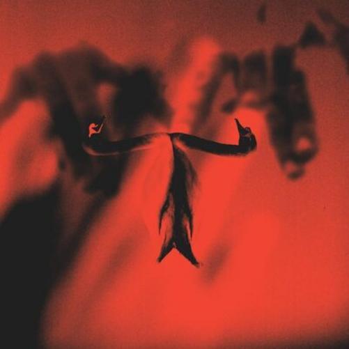Maxim Mental Make Team Presents Maxim Mental in Maximalism (Vinyl LP) 12" Album