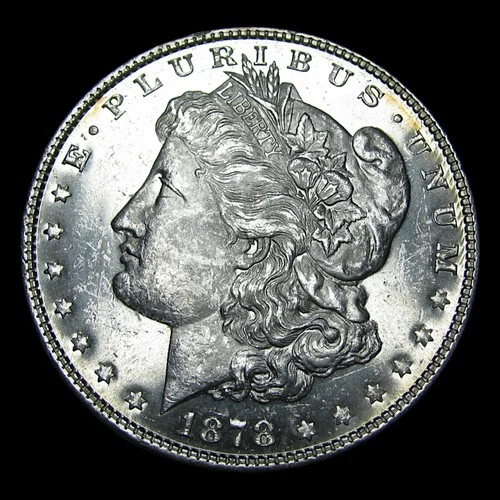 1878 7 TF Morgan Dollar Silver ---- Gem BU PL Condition Coin  ---- #PP827