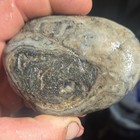 South Dakota Prairie Agate Rough, Cabbing Lapidary 10.8 oz — photo 2