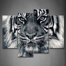 Black and White Tiger with Eye Staring and Beard Wall Art Painting Pictures P...