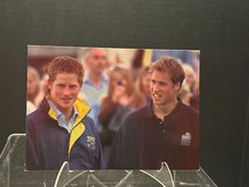 HRHs Prince William and Prince Henry  - Color Postcard - Never Used
