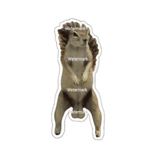Squirrel Sticker Decal Nuts Funny