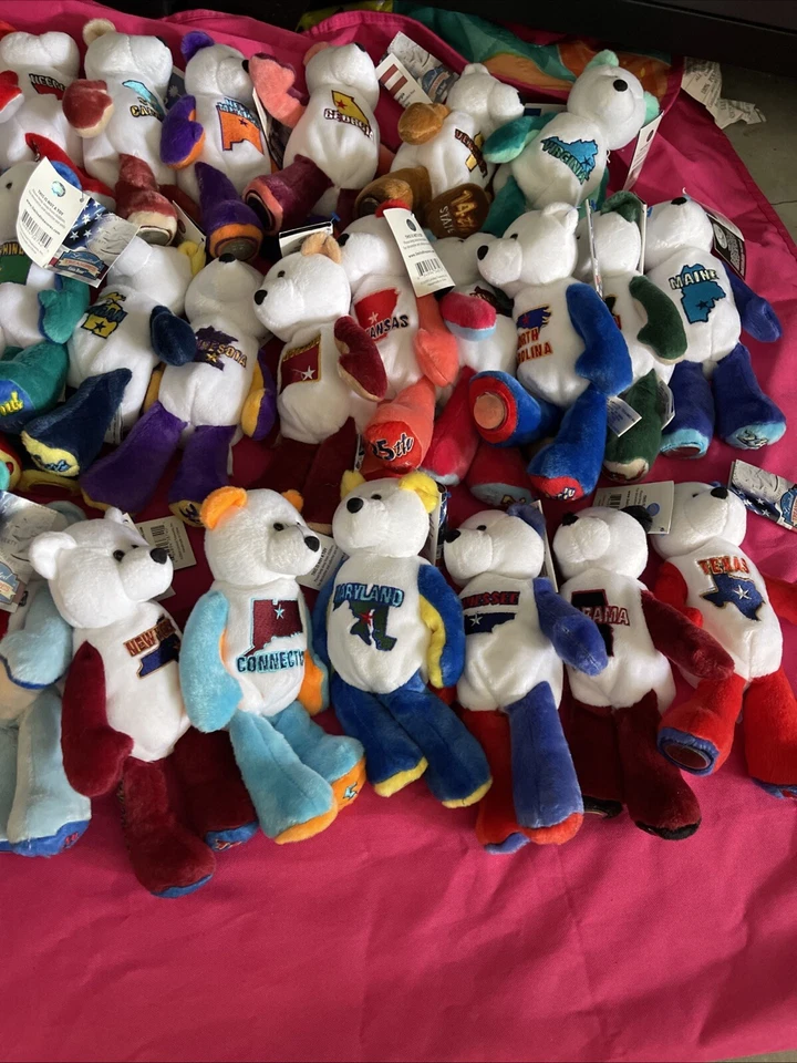 50 个美国州硬币熊 48 件装全新带标签 — 第 4/4 张图片