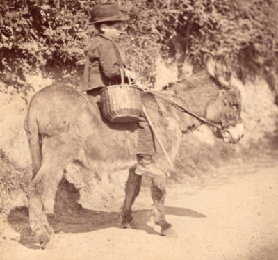 Schöne Studie Junge auf Esel Frankreich altes Foto 1870