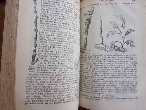 Agriculture. Le nouveau jardinier. 500 dessins 1877. 2/2vols - Picture 9 of 11