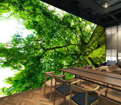 3D Green Tree Branches 30124NA Wallpaper Wall Murals Removable Wallpaper Fay