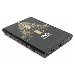 Sony NWA 100 | eBay