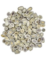 Deer Antler Beads/slices crafts, Jewelry Making, Beading Supplies large