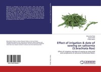 Effect Of Irrigation & Date Of Sowing On Salicornia (S.Brachiata Rox) Bhoomika P