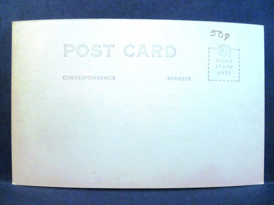 Postcard AK View of Cow Seals Hauled Out on Beach RPPC Real Photo eBay