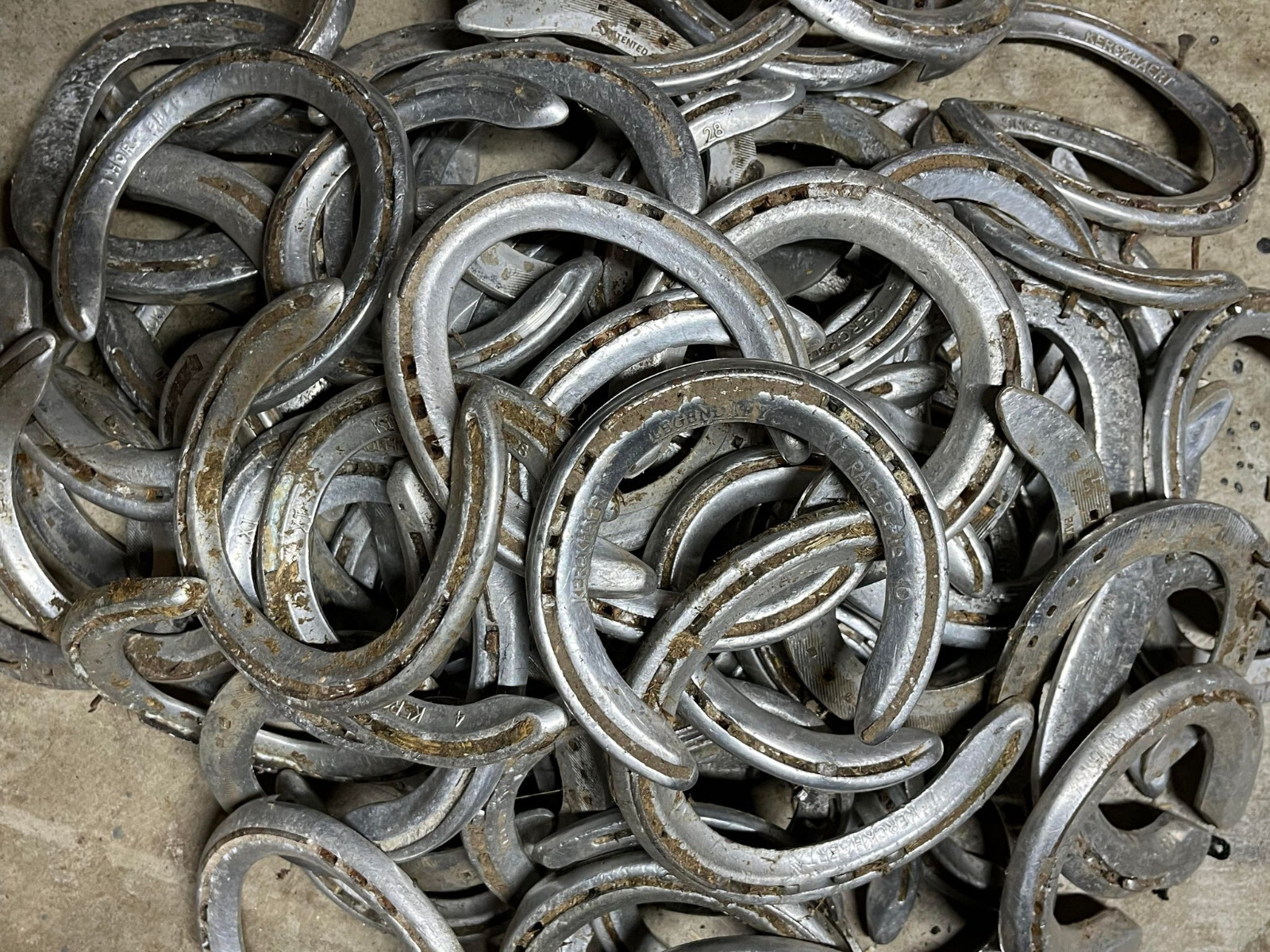 Used Horse Shoes eBay