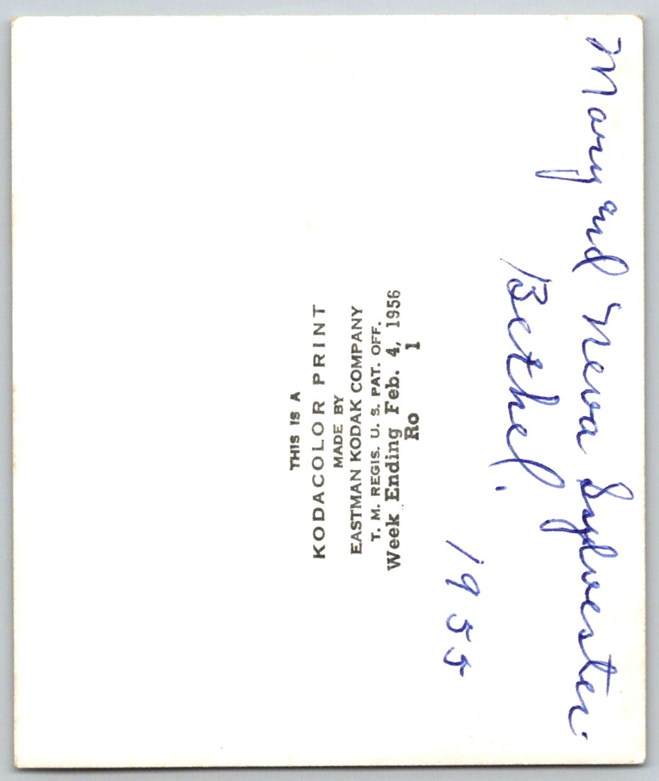 Picture 2