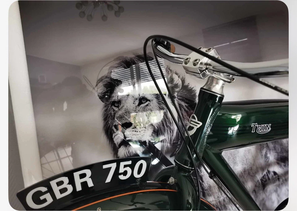 beach cruiser fahrrad bike von Felt, edel grun top zustand,Retrolook , oldschool - Bild 4 von 4