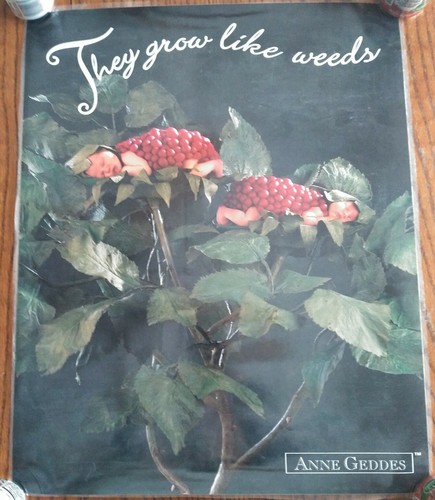 Vintage Anne Geddes "They Grow Like Weeds" Art Poster Print 20" x 16" Laminated - Picture 1 of 12